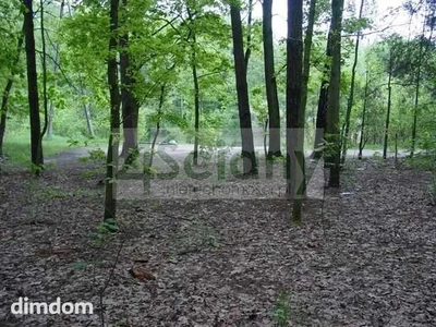 Do sprzedania działka budowlana o powierzchni 6800 m2 w Maryninie koło Grodziska Maz./Książenic. - 3