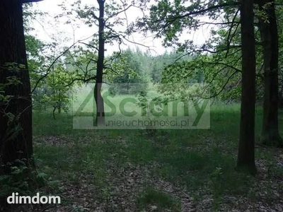 Do sprzedania działka budowlana o powierzchni 6800 m2 w Maryninie koło Grodziska Maz./Książenic. - 4