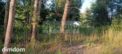 Do sprzedania działka budowlana o powierzchni 1500 m2 w Czarnym Lesie koło Grodziska Maz. - 5