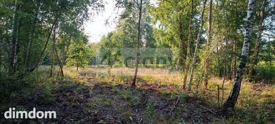 Do sprzedania działka budowlana o powierzchni 1500 m2 w Czarnym Lesie koło Grodziska Maz. - 3