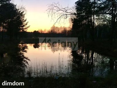Piękna, zielona działka ze stawami - 5