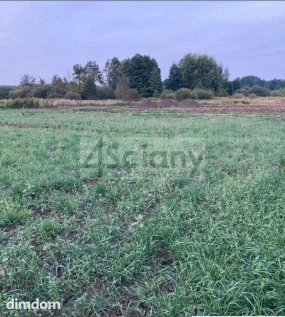 Działka o powierzchni 1500m2, Warszawa Białołęka okolice Wojdyńskiej, wymiary 36x41,5m, prąd w drodze, do wodociągu 80m, dojazd drogą prywatną utwardzoną, działka ogrodzona z trzech stron.