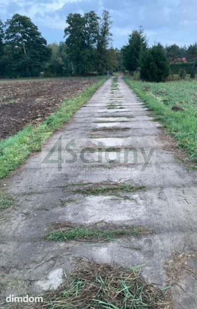 Działka o powierzchni 1500m2, Warszawa Białołęka okolice Wojdyńskiej, wymiary 36x41,5m, prąd w drodze, do wodociągu 80m, dojazd drogą prywatną utwardzoną, działka ogrodzona z trzech stron. - 3