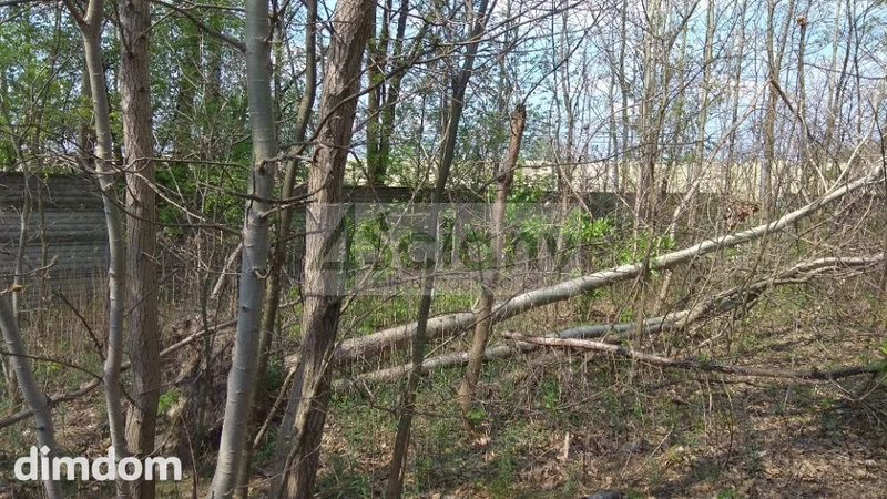 Działka budowlana o powierzchni 1759 m². - 90462929.jpg