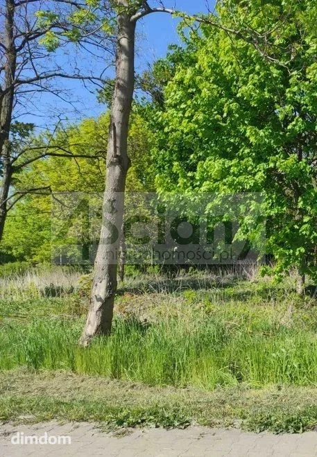Możliwa zabudowa szeregowa lub bliźniacza. - 95279131.jpg