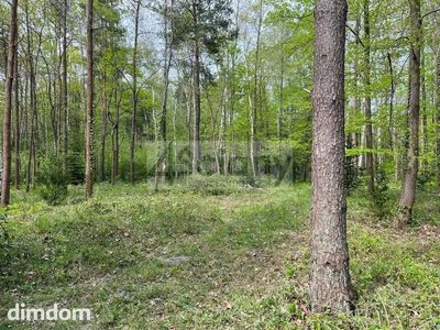 Do sprzedania działka budowlana o powierzchni 2761 m2 w Podkowie Leśnej koło Grodziska Maz.