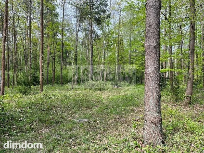 Do sprzedania działka budowlana o powierzchni 2761 m2 w Podkowie Leśnej koło Grodziska Maz. - 93482299.jpg