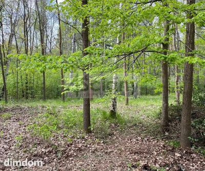 Do sprzedania działka budowlana o powierzchni 2761 m2 w Podkowie Leśnej koło Grodziska Maz. - 2