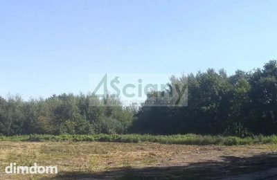 Do sprzedania działka budowlana o powierzchni 18000 m2 w Podkowie Leśnej koło Grodziska Maz/Milanówka. - 3