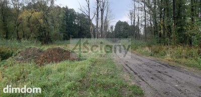 Działka w gminie Leszno 200 metrów od puszczy - 2