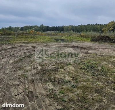 Do sprzedania działka budowlana o powierzchni 46050 m2 w Żółwinie koło Grodziska Maz/Podkowy Leśnej. - 2