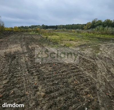 Do sprzedania działka budowlana o powierzchni 46050 m2 w Żółwinie koło Grodziska Maz/Podkowy Leśnej. - 3