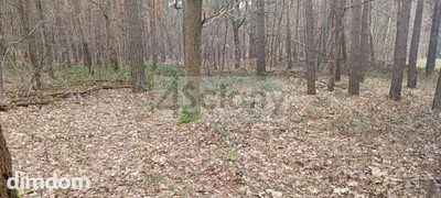 Atrakcyjna działka w Sękocinie Las - 2