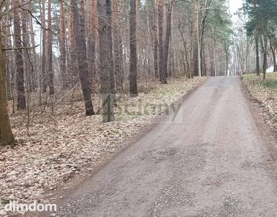 Atrakcyjna działka w Sękocinie Las - 3