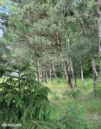 Do sprzedania działka budowlana o powierzchni 1520 m2 w Starej Wsi koło Nadarzyna.