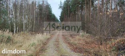 Duża działka w lesie - gmina Puszcza Mariańska - 5
