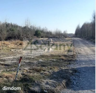 Cicho na działce w gminie Puszcza Mariańska