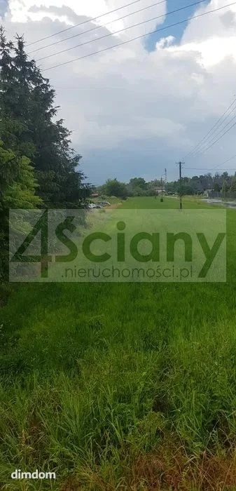 Budowlana działka 3990 m2 w Bieniewicach - 2
