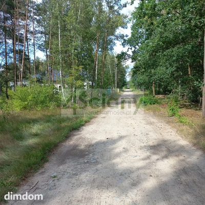 Działka leśna pod zabudowę rezydencyjną - 5