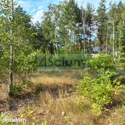 Działka leśna pod zabudowę rezydencyjną - 3