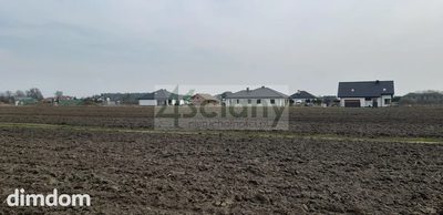 1000 m2 w Zaborówku