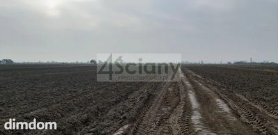 1000 m2 w Zaborówku - 2