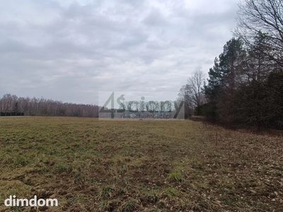 Piekna działka pod lasem na Choszczówce - 2