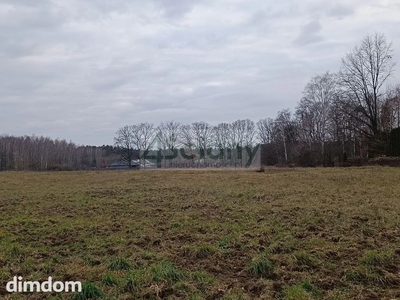 Piekna działka pod lasem na Choszczówce - 3