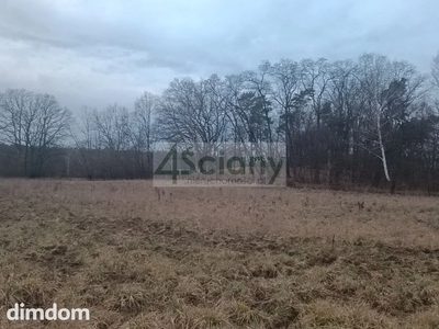 Piekna działka pod lasem na Choszczówce - 5