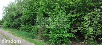 Na sprzedaż działka w miejscowości Krupia Wólka o powierzchni 2000 m2 składająca się z dwóch mniejszych działek po 1000 m2.
