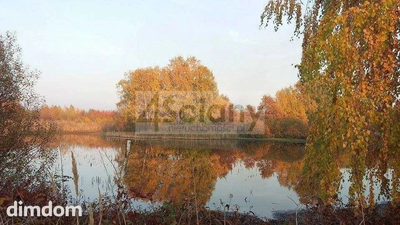 Działka z zabudową dworską z 1910 roku!! - 5