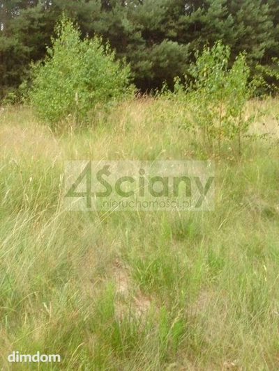 Atrakcyjna działka - Łępice - Pokrzywnica - 4