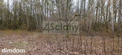 Do sprzedania działka budowlana o powierzchni 6307 m2 w Milanówku na granicy z Grodziskiem/Chrzanowem Dużym.