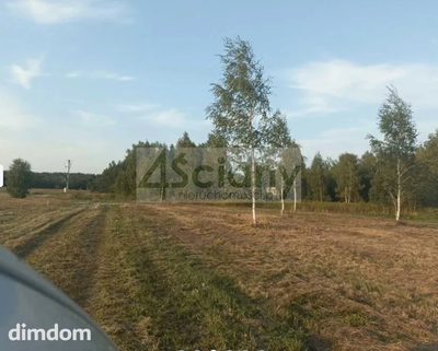 Do sprzedania działka 1250 m2 położona w miejscowości Dębinki. - 2