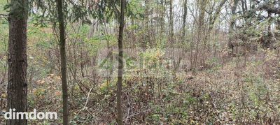 Do sprzedania działka o powierzchni 1500 m2 w Ojrzanowie, gmina Żabia Wola. Działka w kształcie czworokąta o bokach 27 m (od drogi), 67 m, 54 m i 24 m. Dojazd do działki drogą asfaltową i 180 m drogą…