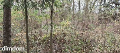 Do sprzedania działka o powierzchni 1500 m2 w Ojrzanowie, gmina Żabia Wola. Działka w kształcie czworokąta o bokach 39 m (od drogi), 48 m, 33 m i 37 m. Dojazd do działki drogą asfaltową i 220 m drogą…