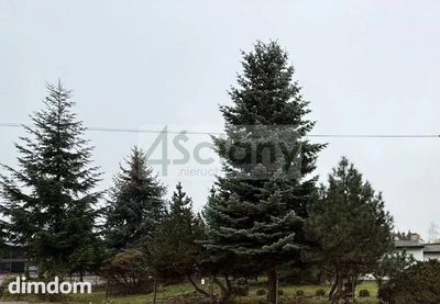 Do sprzedania działka budowlana o powierzchni 859 m2 w Grodzisku Maz.