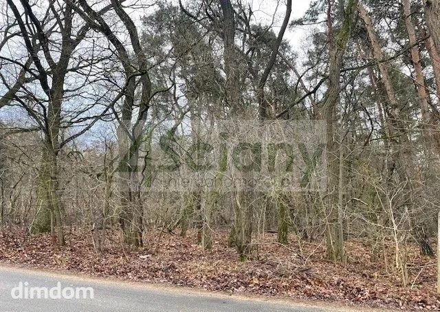 Do sprzedania działka budowlana o powierzchni 6500 m2 w Książenicach (Pieńki Książenickie) na granicy z Owczarnią. - 103178384.jpg
