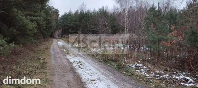Duża działka przy lesie - 3