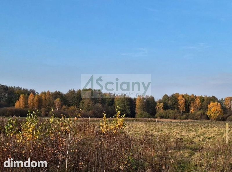 Duża, piękna działka w Ojrzanowie - 103728372.jpg