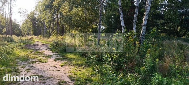 Na sprzedaż 5 działek w miejscowości Czarny Las koło Grodziska Mazowieckiego. - 103751013.jpg