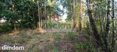 Na sprzedaż 5 działek w miejscowości Czarny Las koło Grodziska Mazowieckiego. - 5