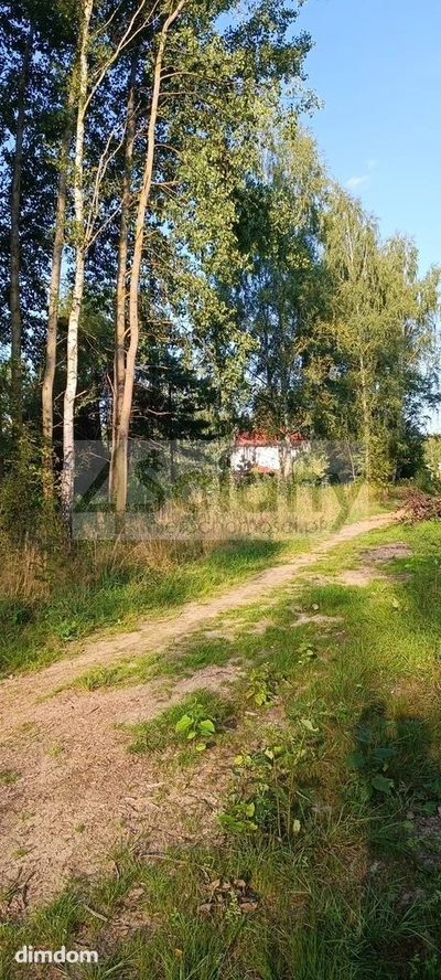 Na sprzedaż 5 działek w miejscowości Czarny Las koło Grodziska Mazowieckiego. - 4