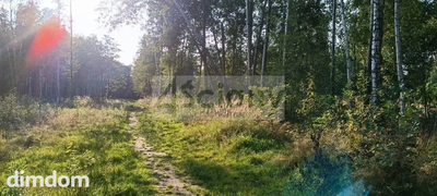 Na sprzedaż 5 działek w miejscowości Czarny Las koło Grodziska Mazowieckiego. - 3