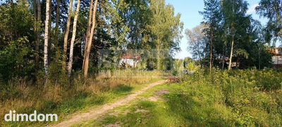 Na sprzedaż 5 działek w miejscowości Czarny Las koło Grodziska Mazowieckiego. - 2