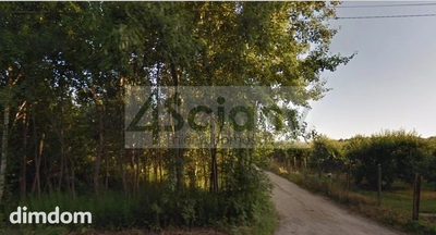 Na sprzedaż działka budowlana o pow. 6490 m2 w uroczej miejscowości Prace Duże, położona 12 km od Piaseczna.