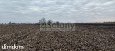 Działka zmeliorowana w Zaborówku