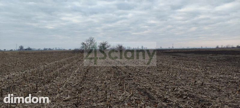 Działka zmeliorowana w Zaborówku - 103544286.jpg