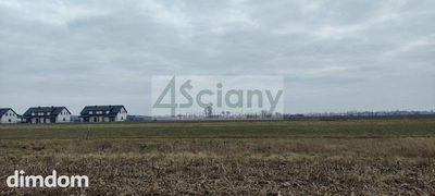 Działka zmeliorowana w Zaborówku - 3