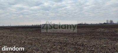 Działka zmeliorowana w Zaborówku - 2